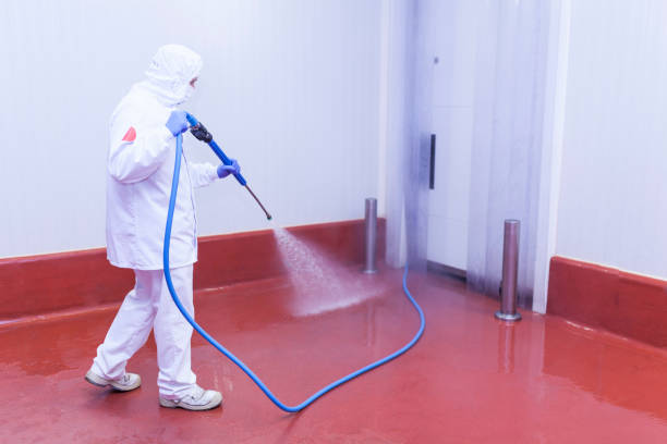 Best Post-Construction Pressure Washing  in Choudrant, LA